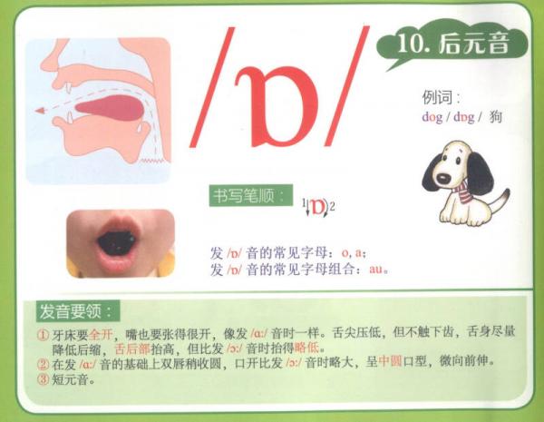 新编英语国际音标入门挂图