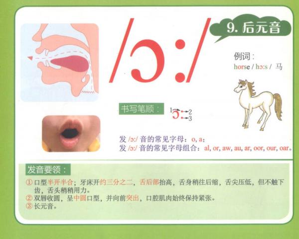 新编英语国际音标入门挂图