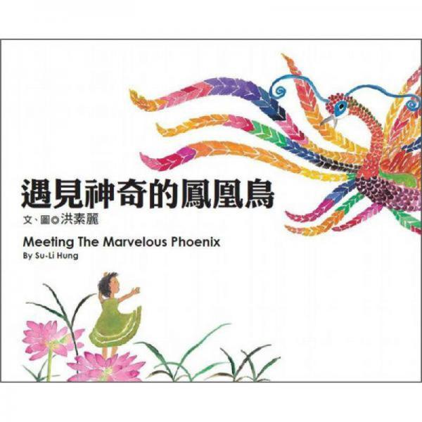 遇見神奇的鳳凰鳥