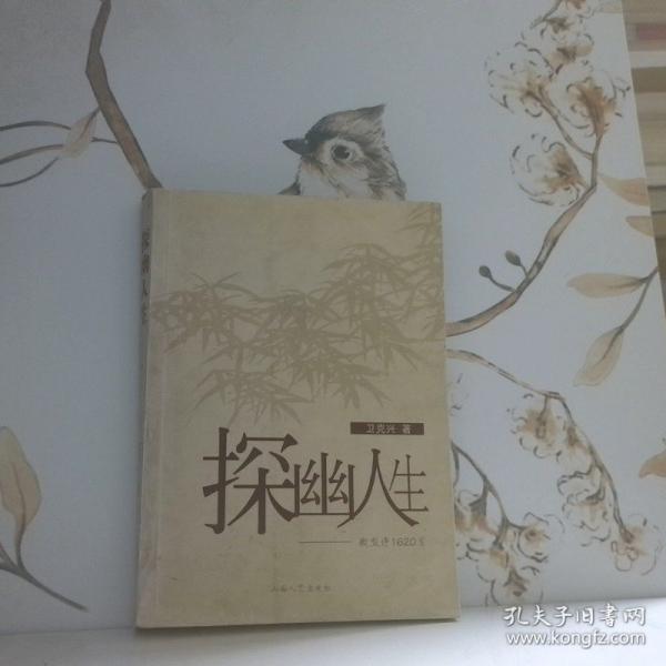 探幽人生:微型詩1620首