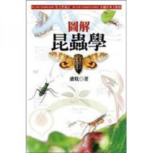 圖解昆蟲學(xué)