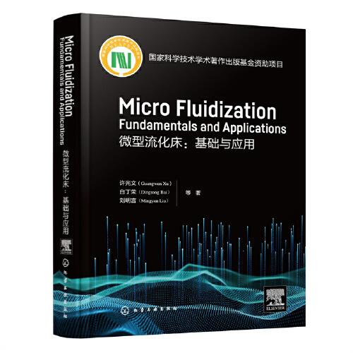 Micro fluidization: Fundamentals and Applications  (微型流化床：基础与应用)