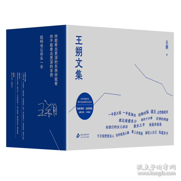 王朔文集