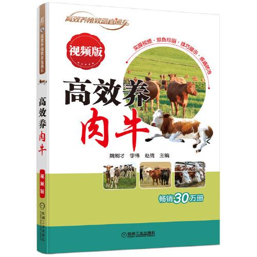 高效養(yǎng)肉牛 視頻版