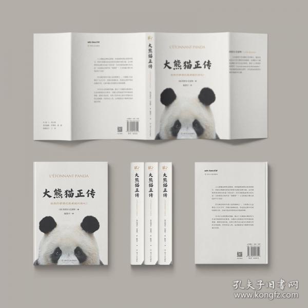 大熊猫正传