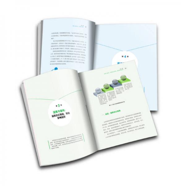 老板轻松抓流程：一本书让老板搞懂流程管理