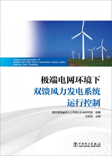 极端电网环境下双馈风力发电系统运行控制