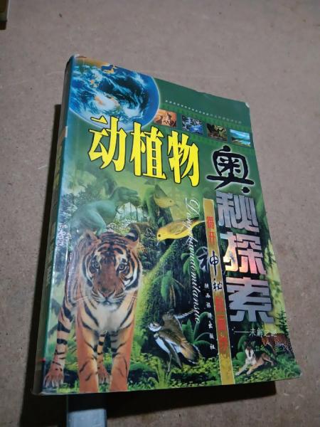 宇宙奧秘探索:揭開神秘的面紗