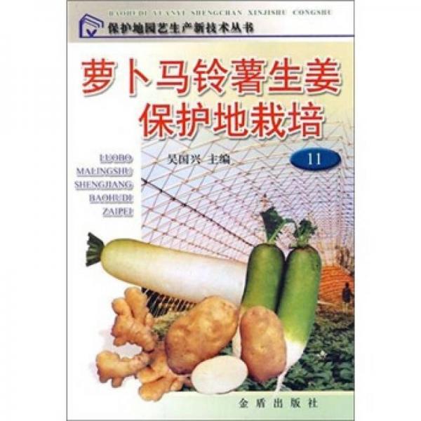 萝卜马铃薯生姜保护地栽培