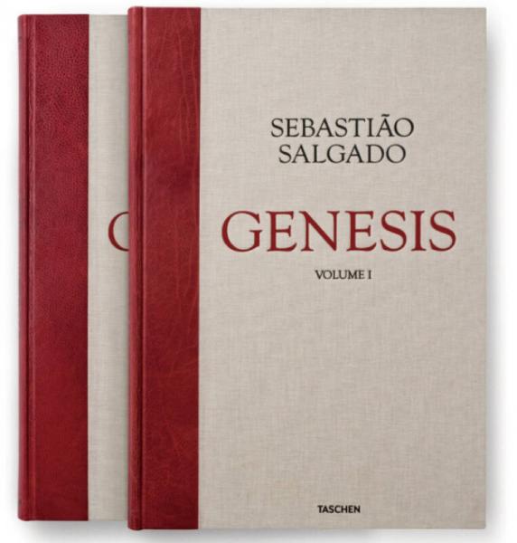 GENESIS（套装共2册）