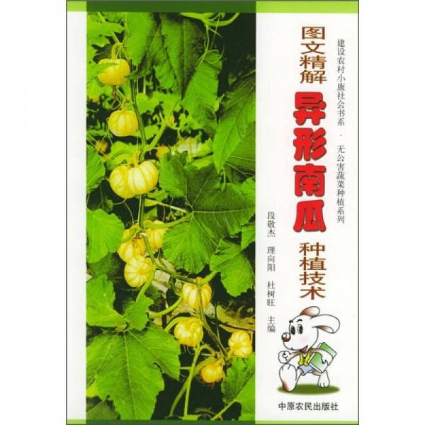 圖文精解異形南瓜種植技術