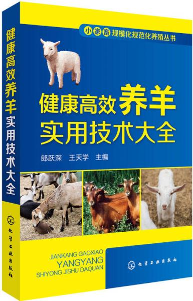 小家畜規(guī)?；?guī)范化養(yǎng)殖叢書--健康高效養(yǎng)羊?qū)嵱眉夹g(shù)大全