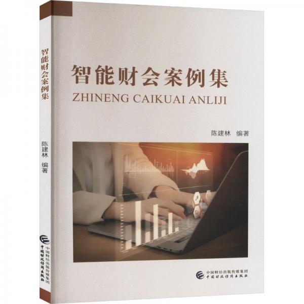 智能財(cái)會(huì)案例集 陳建林 編
