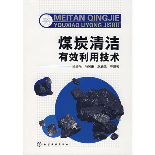 煤炭清潔有效利用技術(shù)
