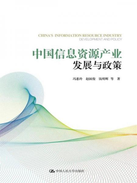 中国信息资源产业发展与政策