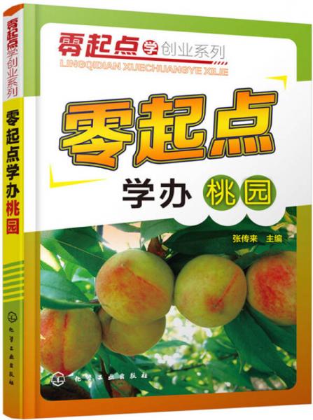 零起點學(xué)辦桃園