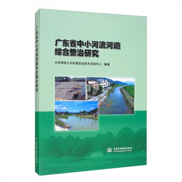 廣東省中小河流河道綜合整治研究