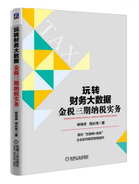 玩轉(zhuǎn)財務(wù)大數(shù)據(jù):金稅三期納稅實(shí)務(wù)
