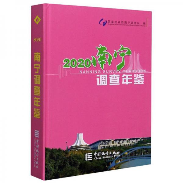 南宁调查年鉴（2020）