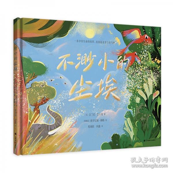 不渺小的尘埃