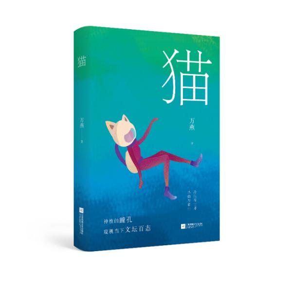 貓