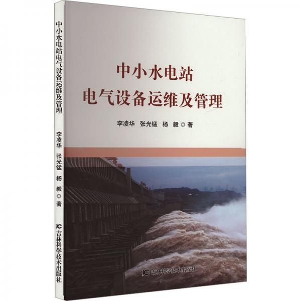 中小水電站電氣設(shè)備運(yùn)維及管理