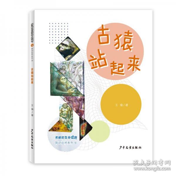古猿站起來