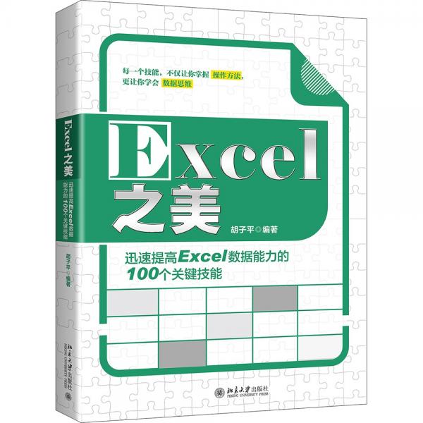 Excel之美：迅速提高Excel数据能力的100个关键技能
