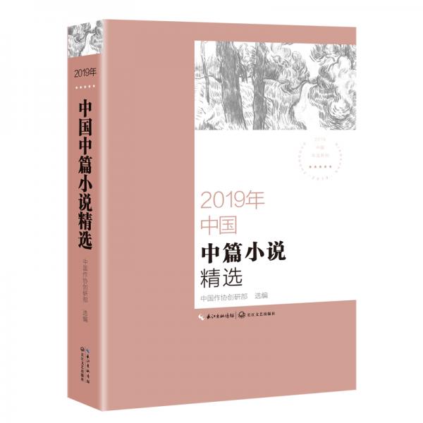 2019年中国中篇小说精选