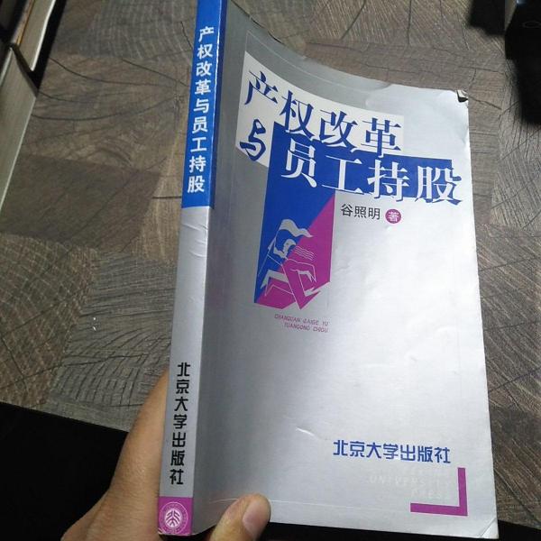 產(chǎn)權(quán)改革與員工持股