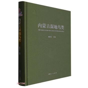 內(nèi)蒙古濕地鳥(niǎo)類(精)