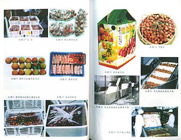 荔枝龙眼采后处理及保鲜贮运彩色图说