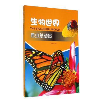 昆虫总动员