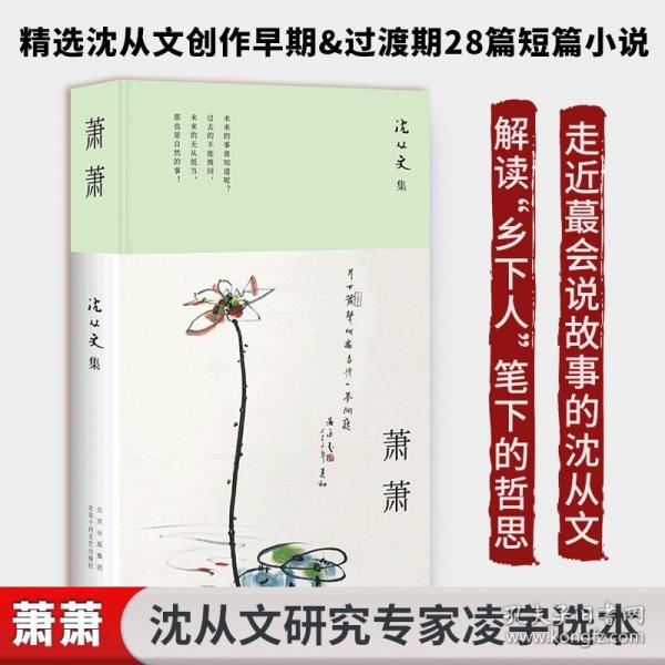 萧萧