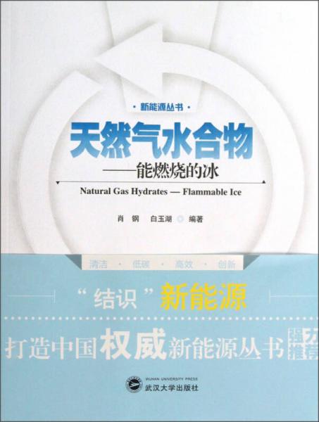 新能源叢書·天然氣水合物：能燃燒的冰