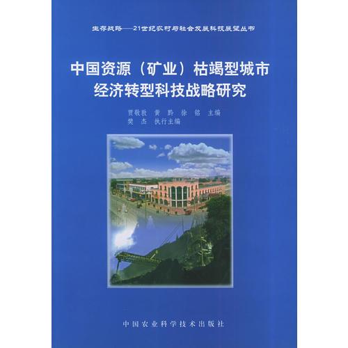 中国资源（矿业）枯竭型城市经济转型科技战略研究——21世纪农村与社会发展科技展望丛书