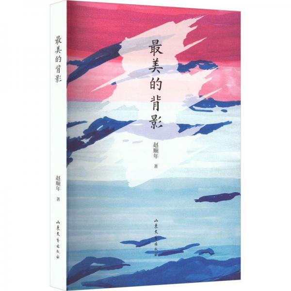 美的背影 散文 趙順年 新華正版