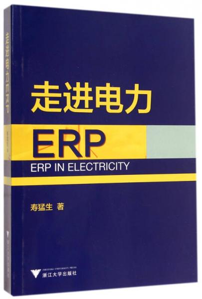 走進(jìn)電力ERP