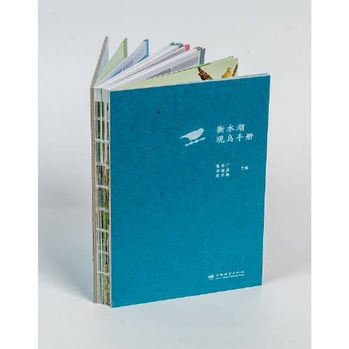 衡水湖觀鳥手冊