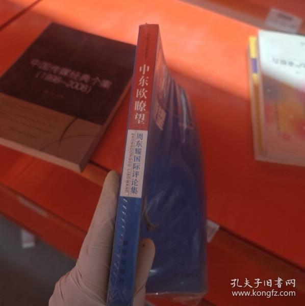 中东欧瞭望：周东耀国际评论集