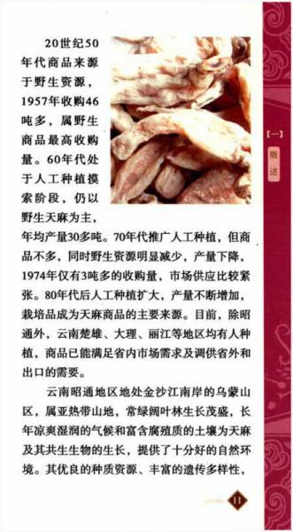 云南名特药材鉴别与服用丛书：天麻