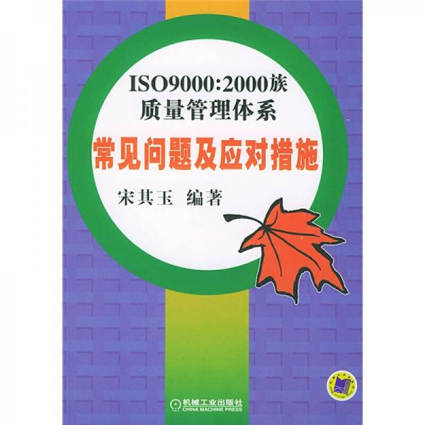 ISO9000：2000質(zhì)量管理體系常見問題及應(yīng)對措施