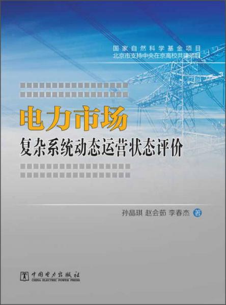 電力市場復(fù)雜系統(tǒng)動態(tài)運(yùn)營狀態(tài)評價(jià)