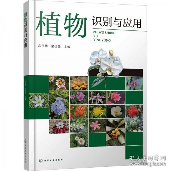 園林植物識別與應(yīng)用