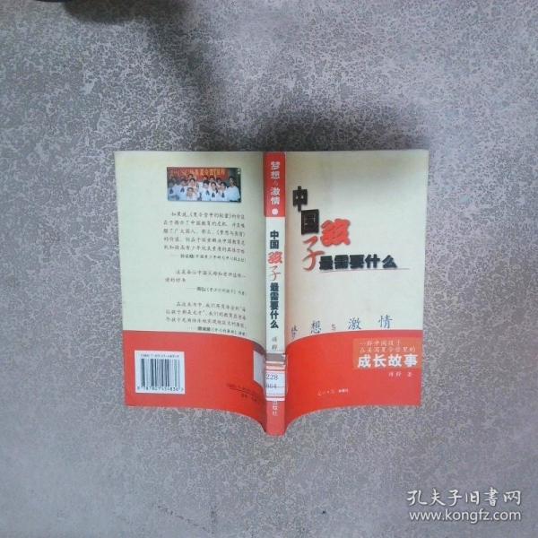夢想與激情:中國孩子最需要什么:一群中國孩子在美國夏令營里的成長故事
