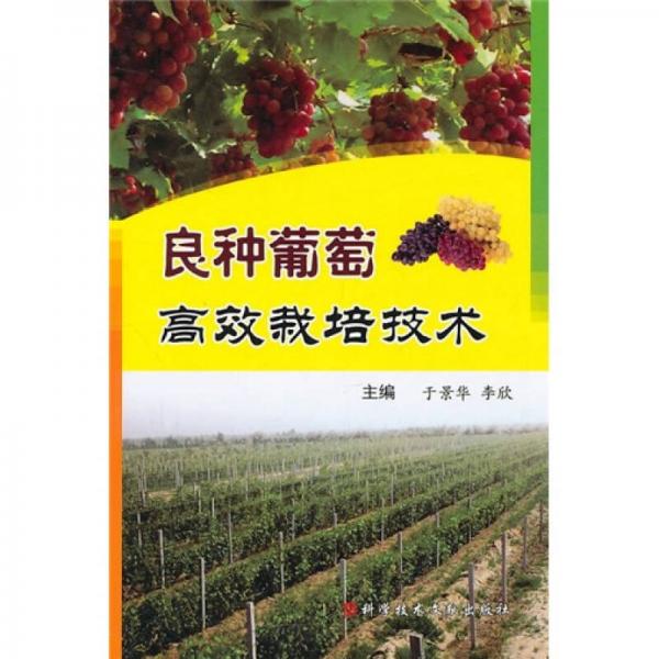 良種葡萄高效栽培技術(shù)