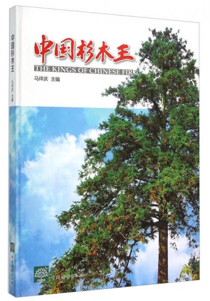 中國杉木王