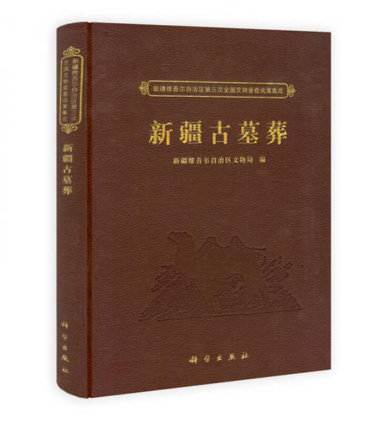 新疆维吾尔自治区第三次全国文物普查成果集成：新疆古墓葬