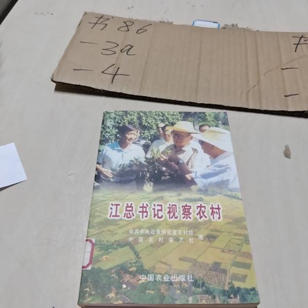 江總書記視察農(nóng)村