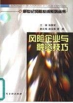 風(fēng)險企業(yè)與融資技巧